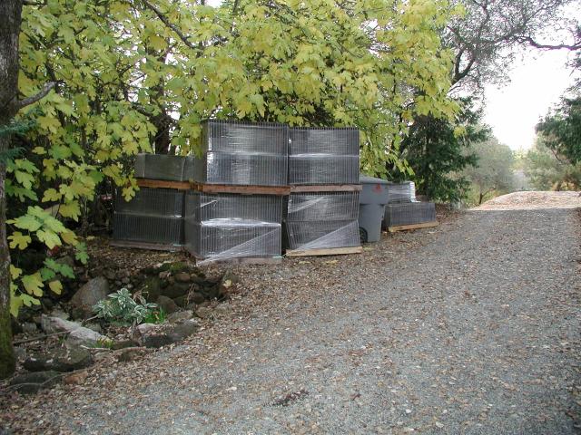 R0009
