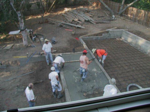 Foundation12